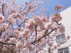 -上海第二工业大学(金海路校区)