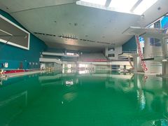 -重庆市奥林匹克体育中心-游泳跳水馆