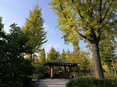 -新江湾城公园