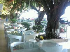 android_upload_pic-湿地轩