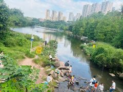 -重庆彩云湖湿地公园