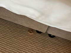 -海南清水湾莱佛士酒店