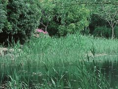 -蠡湖大桥公园
