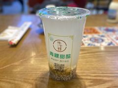 -德禄酸奶(莫家街店)