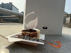 -BLACKSWAN黑天鹅(环球店)