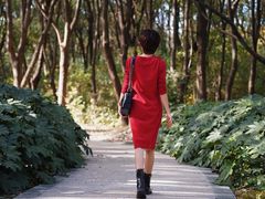 -昆山城市生态森林公园