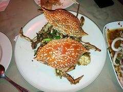 -Red Lobster