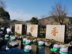-香雪海