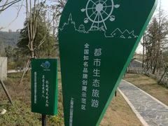 -上海佘山国家森林公园东门地面停车场