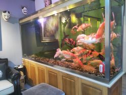 -雕哥的纹身店A3 TATTOO&纹身培训