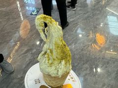-野人先生现做冰淇淋(西安赛格店)