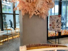 -霓裳茶舞(永州中邦广场店)