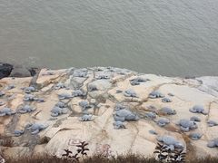 -问海文创园