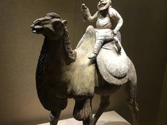 -宁夏博物馆