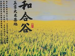 -和合谷(百荣店)