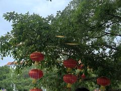 -盆满钵满·国家非遗传承(云台店)