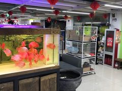-米卢宠物公园(广华居店)