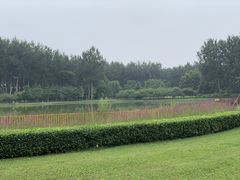 -仁和公园(顺义区)