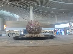 -青岛胶东国际机场