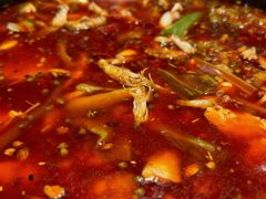 -小饕荟雅安贡椒鱼鲜馆(广福桥店)