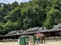 -野象谷景区