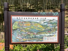 -宁波浙东大竹海景区