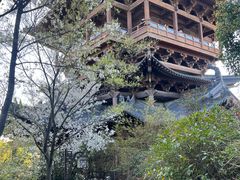 -杭州半山国家森林公园