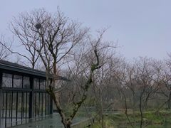 -木守西溪溪隐餐厅