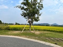 -良渚古城遗址公园