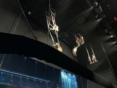 -三亚千古情景区游客中心-接待中心