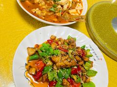 -煲来饱去冷水鱼