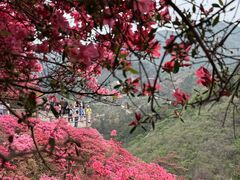 -木兰云雾山