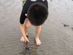 -奉贤海滩