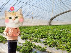 -万源龙顺度假庄园生态观光园