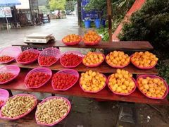 -铁山坪森林公园