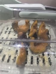 -再清椿美容