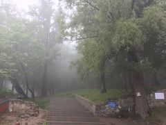 -阳台山自然风景区