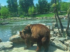 -北京野生动物园