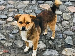 -韵之源农家菜(北京1店)