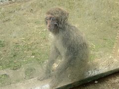 -武汉紫薇都市田园