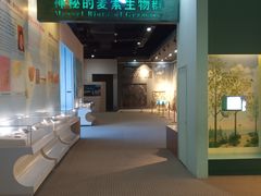 -辽宁古生物博物馆