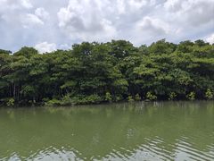 -东寨港红树林旅游区