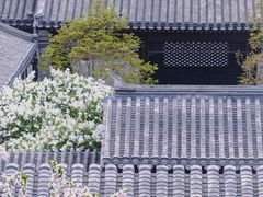 -北京奥林匹克公园