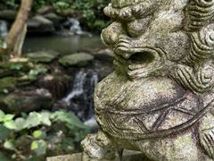 -水濂山森林公园