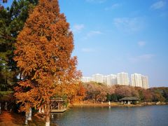 -白塘生态植物园