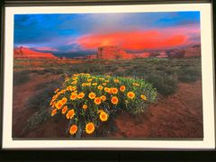 -罗红摄影艺术馆