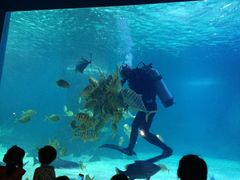 -常州海昌海洋探索馆