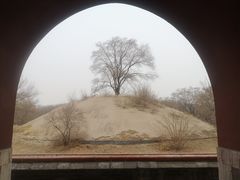 -北陵公园