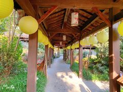 -杭州第一世界大酒店·云曼温泉