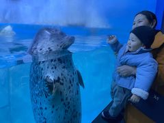 -多彩贵州城极地海洋世界